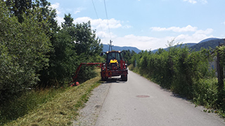 Košnja trave borovnica